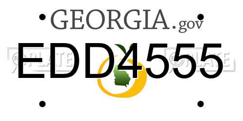 EDD4555 Georgia License Plate