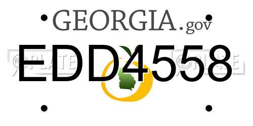EDD4558 Georgia License Plate