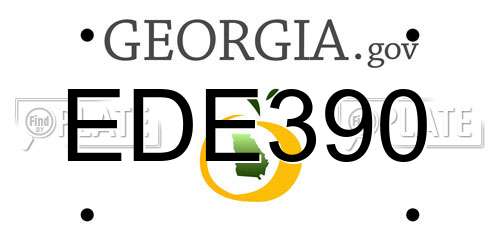 EDE390 Georgia License Plate