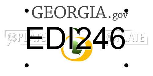 EDI246 Georgia License Plate