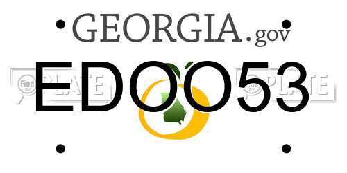 EDOO53 Georgia License Plate