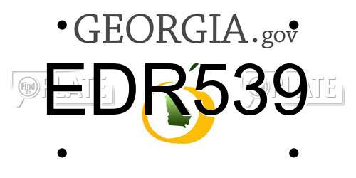 EDR539 Georgia License Plate