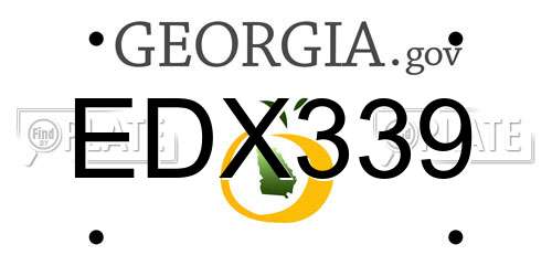 EDX339 Georgia License Plate