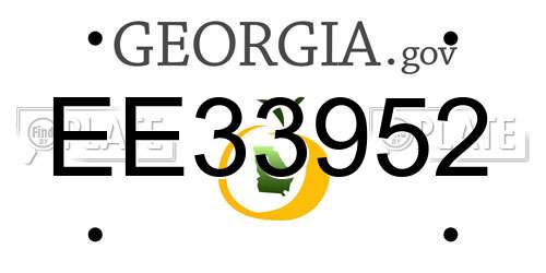 EE33952 Georgia License Plate