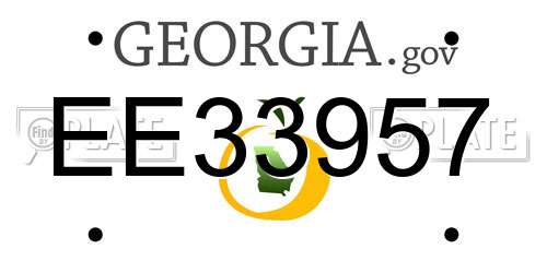 EE33957 Georgia License Plate