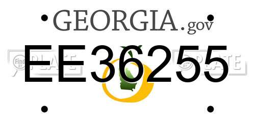 EE36255 Georgia License Plate