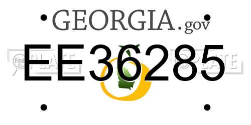 EE36285 Georgia License Plate