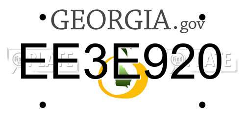 EE3E920 Georgia License Plate
