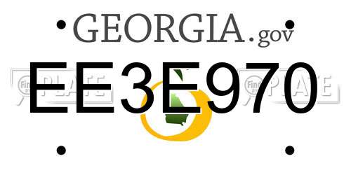 EE3E970 Georgia License Plate