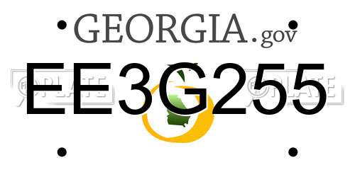 EE3G255 Georgia License Plate
