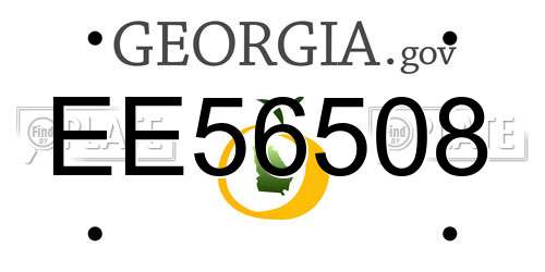 EE56508 Georgia License Plate