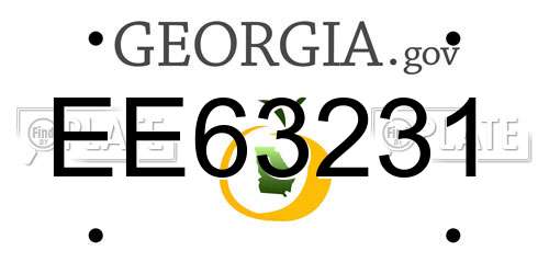 EE63231 Georgia License Plate