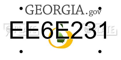 EE6E231 Georgia License Plate