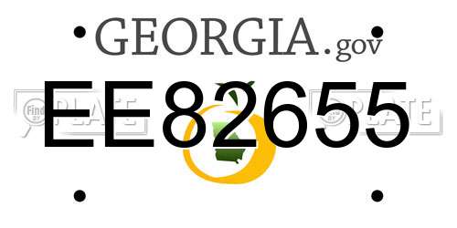 EE82655 Georgia License Plate