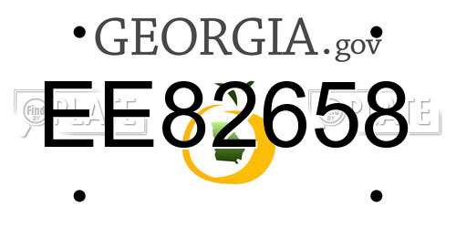 EE82658 Georgia License Plate