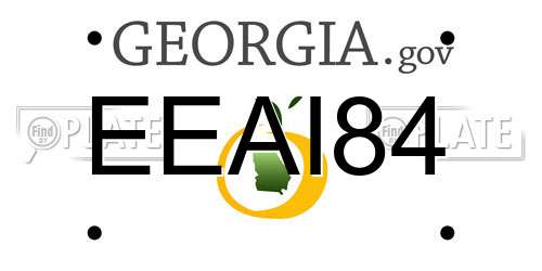 EEAI84 Georgia License Plate