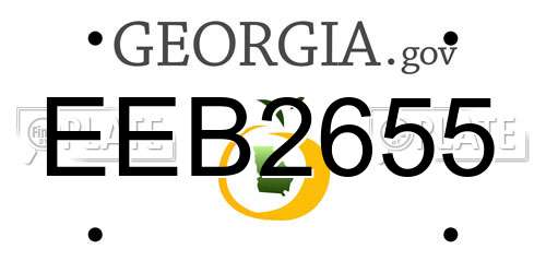 EEB2655 Georgia License Plate