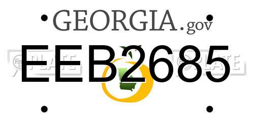 EEB2685 Georgia License Plate