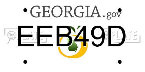 EEB49D Georgia License Plate