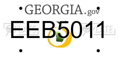 EEB5011 Georgia License Plate