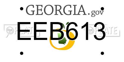 EEB613 Georgia License Plate