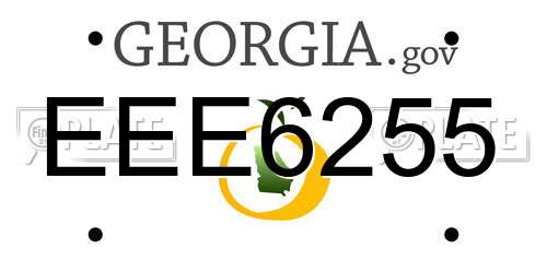 EEE6255 Georgia License Plate