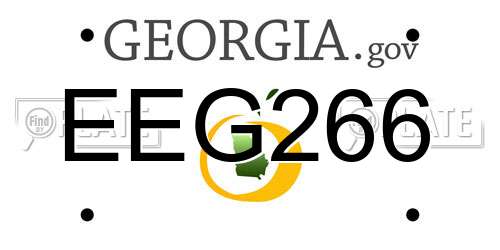 EEG266 Georgia License Plate