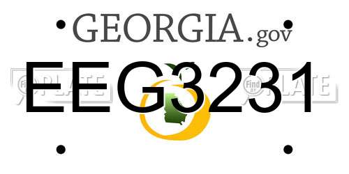EEG3231 Georgia License Plate