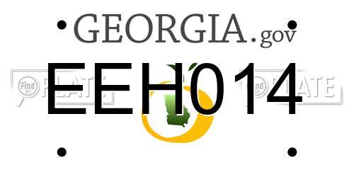 EEH014 Georgia License Plate