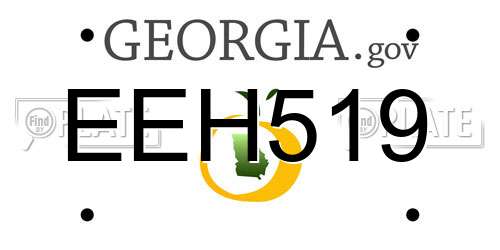 EEH519 Georgia License Plate