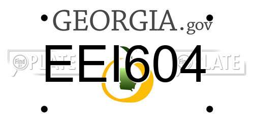EEI604 Georgia License Plate