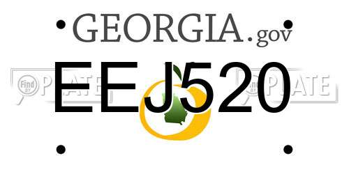 EEJ520 Georgia License Plate