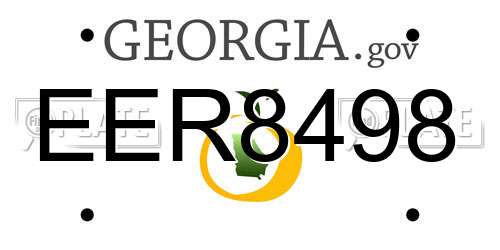 EER8498 Georgia License Plate