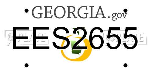 EES2655 Georgia License Plate