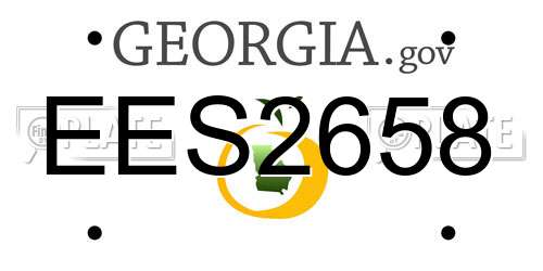 EES2658 Georgia License Plate