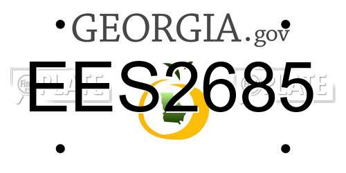 EES2685 Georgia License Plate