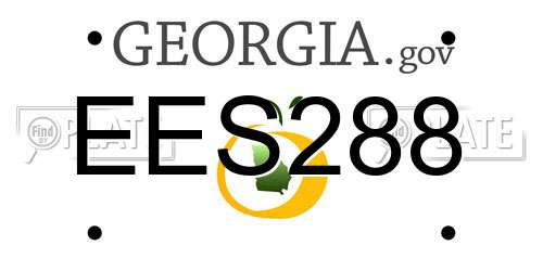 EES288 Georgia License Plate