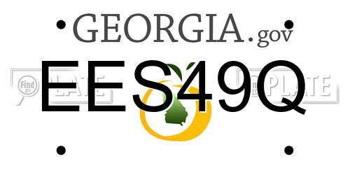 EES49Q Georgia License Plate