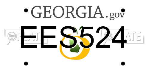 EES524 Georgia License Plate