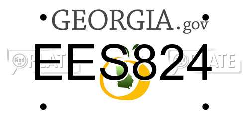 EES824 Georgia License Plate