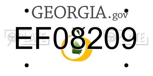 EF08209 Georgia License Plate