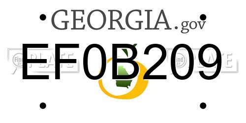 EF0B209 Georgia License Plate