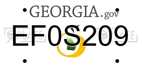 EF0S209 Georgia License Plate