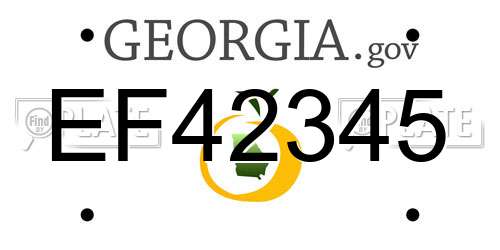EF42345 Georgia License Plate