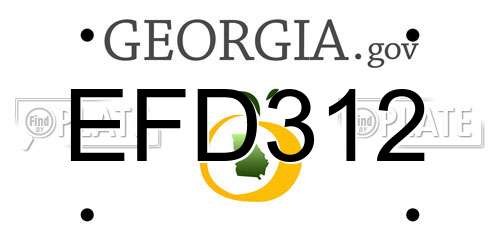 EFD312 Georgia License Plate