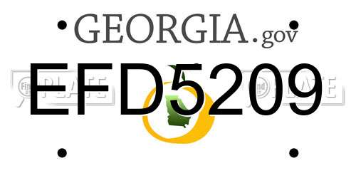 EFD5209 Georgia License Plate