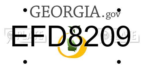 EFD8209 Georgia License Plate
