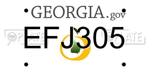 EFJ305 Georgia License Plate