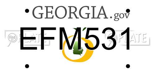 EFM531 Georgia License Plate