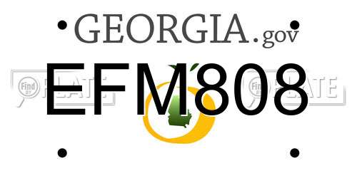 EFM808 Georgia License Plate
